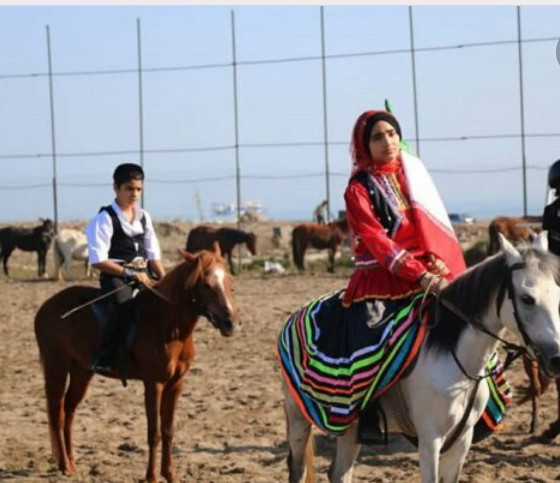 برگزاری هجدهمین جشنواره ملی زیبایی اسب کاسپین در منطقه آزاد انزلی