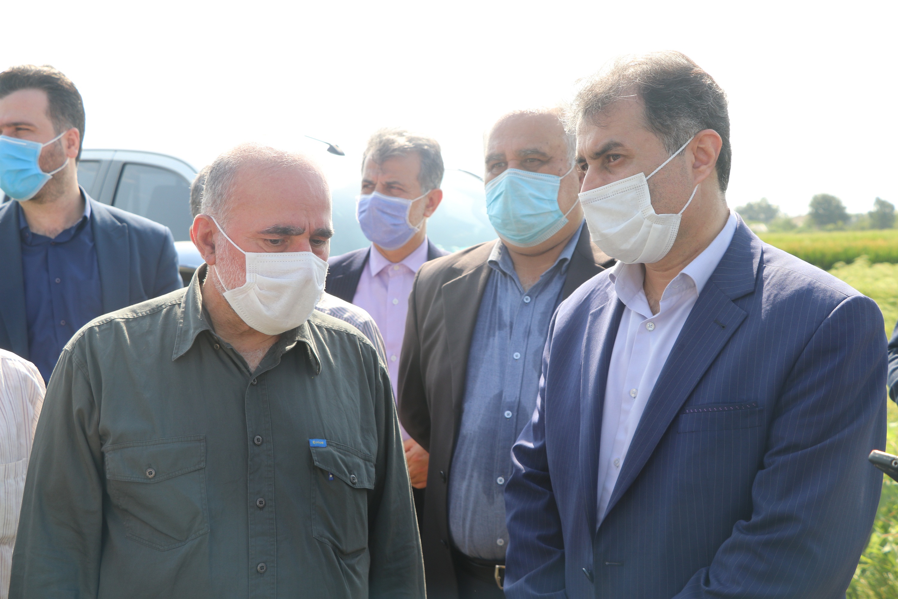 گزارش تصویری اولین برداشت مکانیزه برنج در گیلان