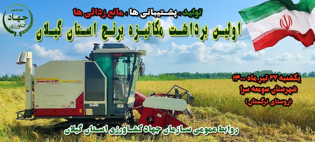 آغاز عملیات برداشت مکانیزه برنج در گیلان