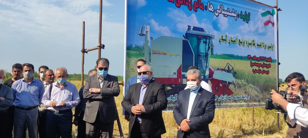 آغاز عملیات برداشت مکانیزه برنج در گیلان