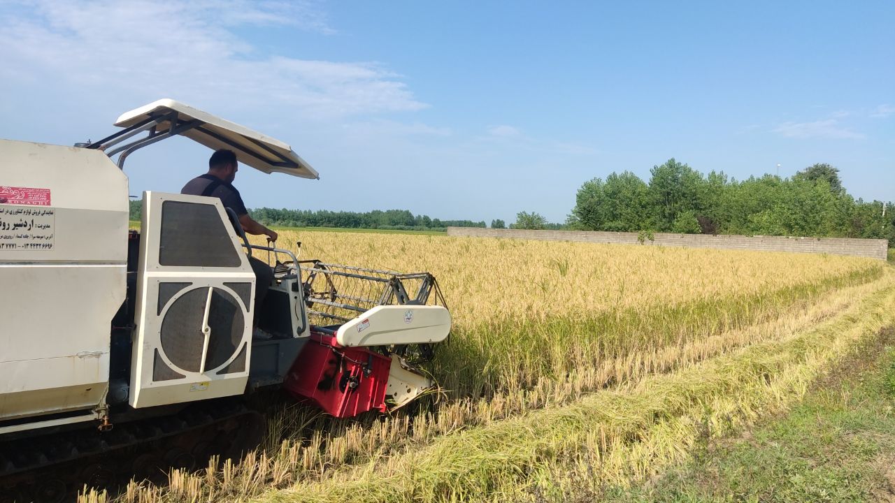 آغاز عملیات برداشت مکانیزه برنج در گیلان