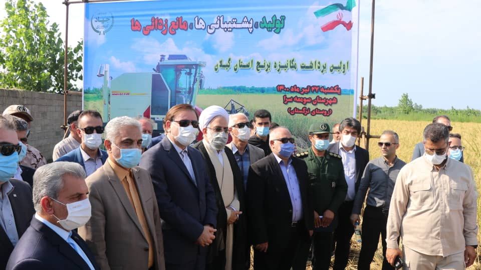آغاز عملیات برداشت مکانیزه برنج در گیلان