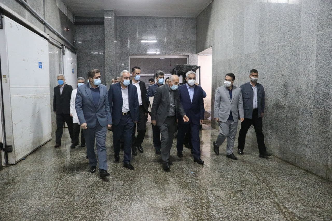 بازدید شبانه استاندار گیلان از یک کشتارگاه صنعتی طیور