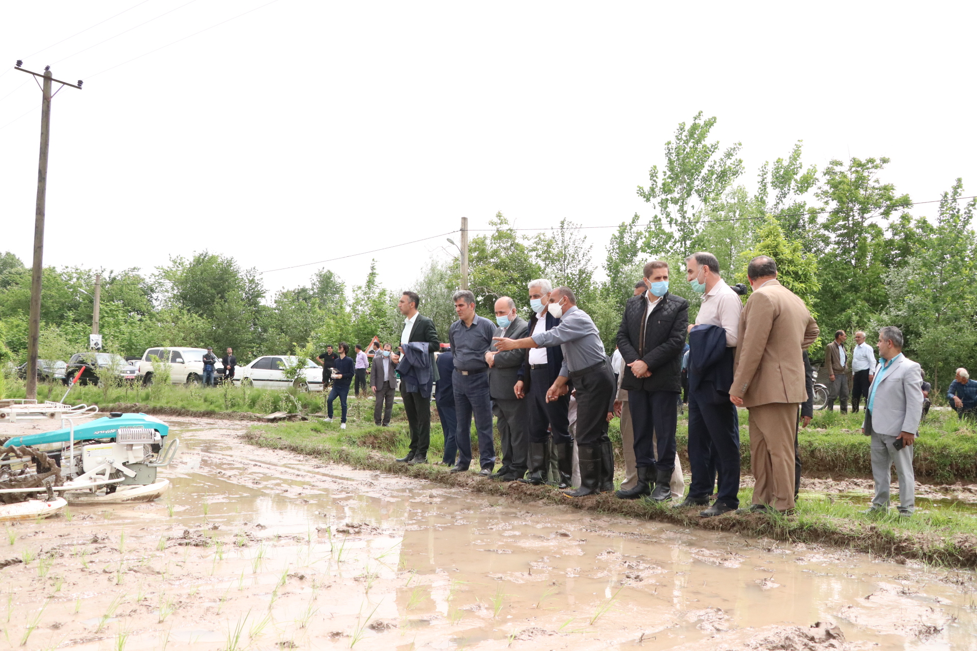 بازدید استاندار به همراه رئیس سازمان جهادکشاورزی از مزارع کشاورزی و روند آبرسانی به شالیزارها