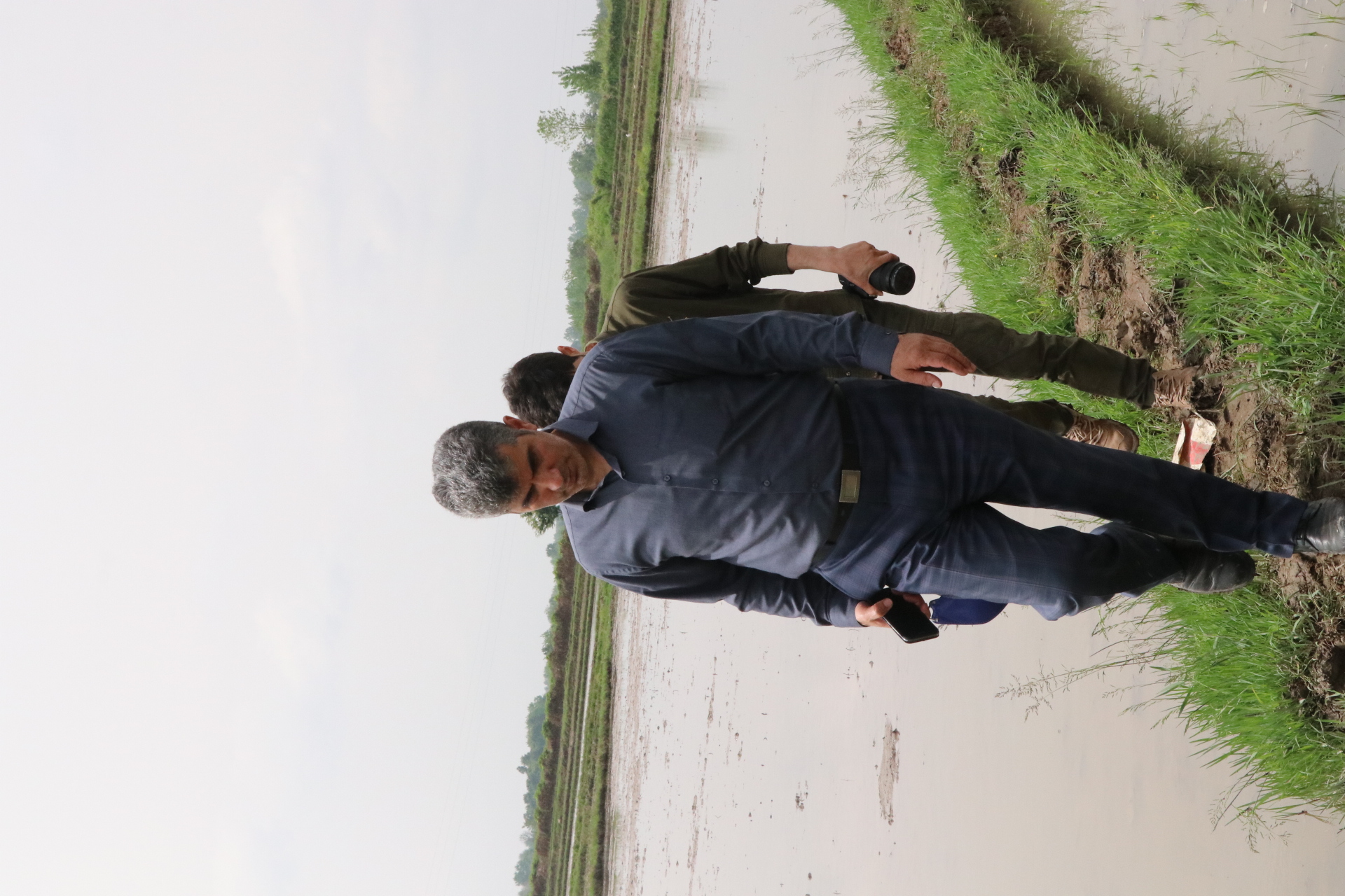 بازدید استاندار به همراه رئیس سازمان جهادکشاورزی از مزارع کشاورزی و روند آبرسانی به شالیزارها