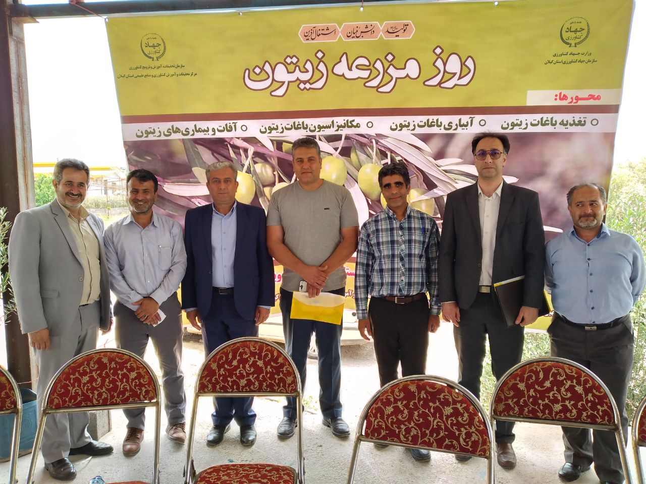 روز مزرعه منطقه ای زیتون در شهرستان رودبار برگزار شد