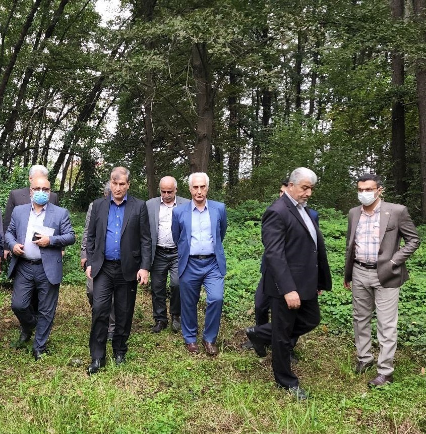 کیوی گیلان برای نخستین‌بار به برزیل صادر می‌شود