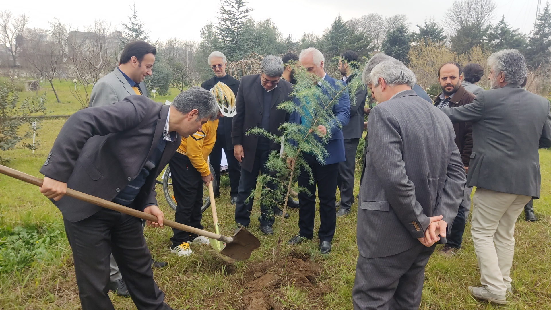 ارتقای امنیت زیستی با کاشت یک میلیارد درخت