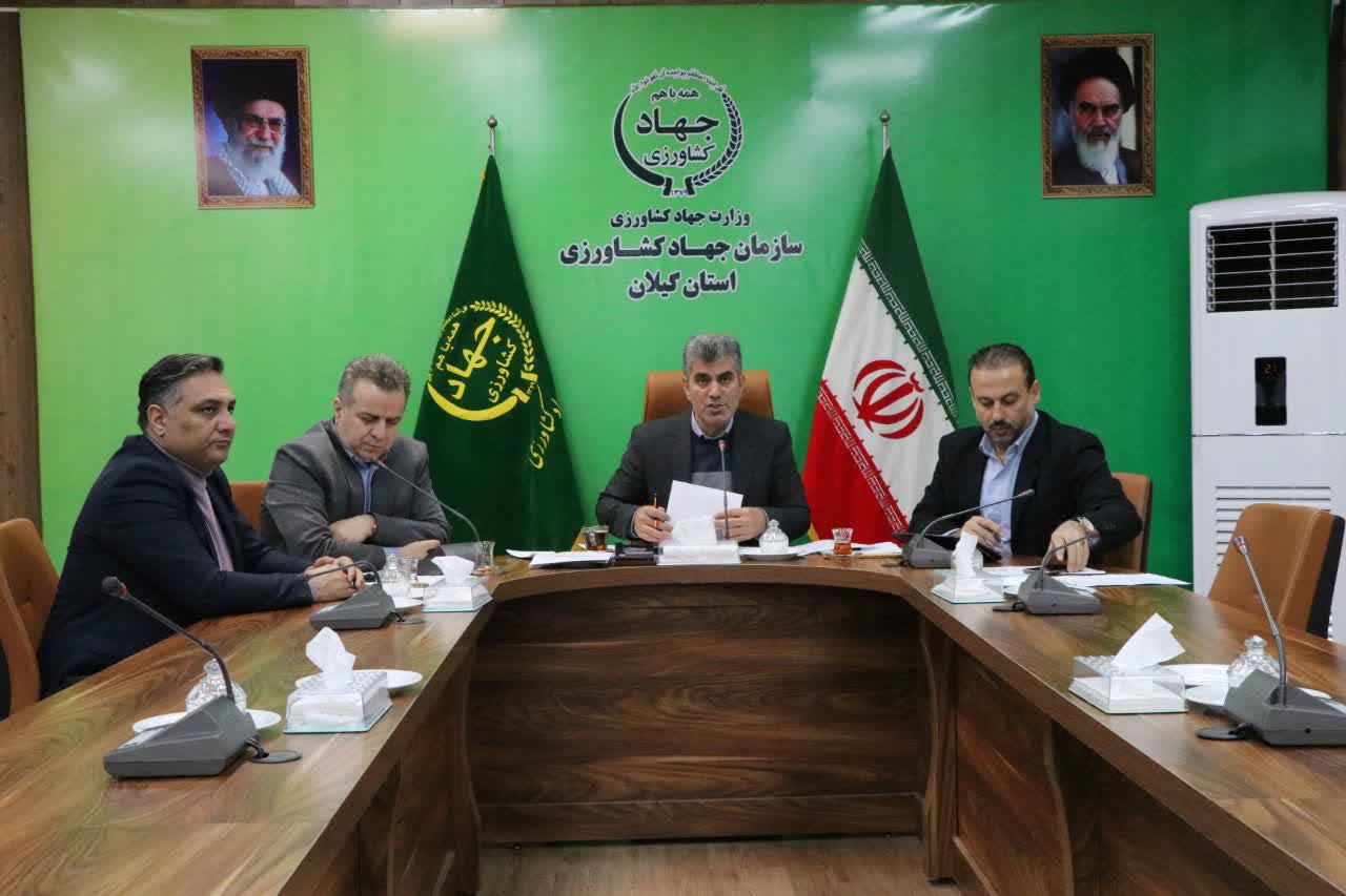 بهره‌برداری از  ۹۸ درصد ظرفیت واحدهای پرورش مرغ گیلان