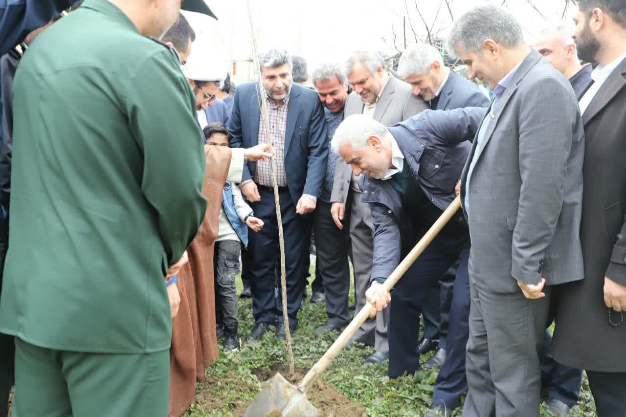 ۱۳ میلیون نهال در نهالستانهای دولتی و خصوصی گیلان تولید شد