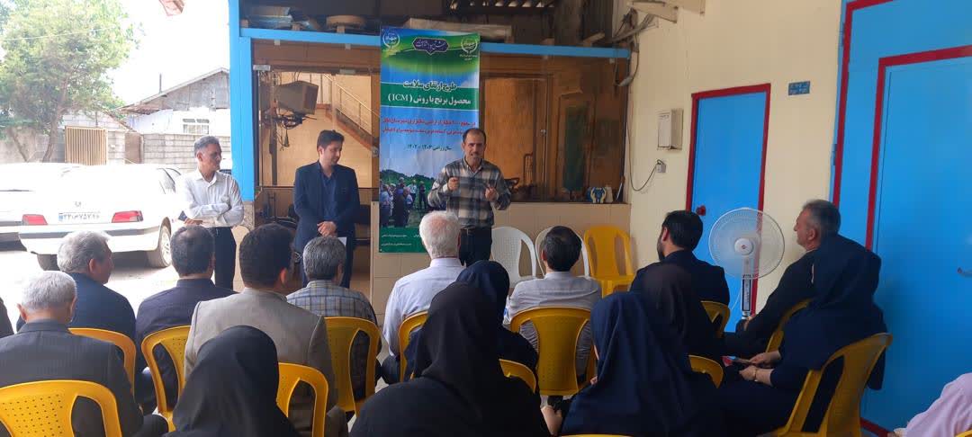 سومین جلسه ملی کارگروه برنامه‌ریزی توسعه مدیریت تلفیقی محصول برنج ICM برگزار شد