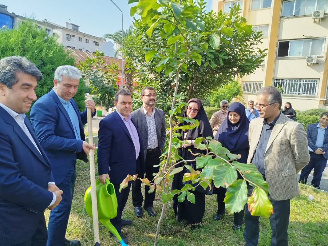 رئیس سازمان جهاد کشاورزی گیلان:  درختکاری را محدود به اسفند نکنیم/ امکان کاشت نهال های گلدانی در طول سال