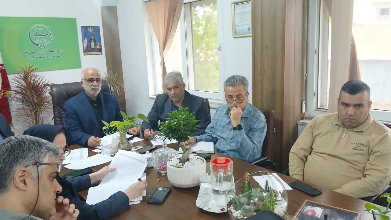 کمیته فنی بذر استان در سازمان جهاد کشاورزی گیلان برگزار شد