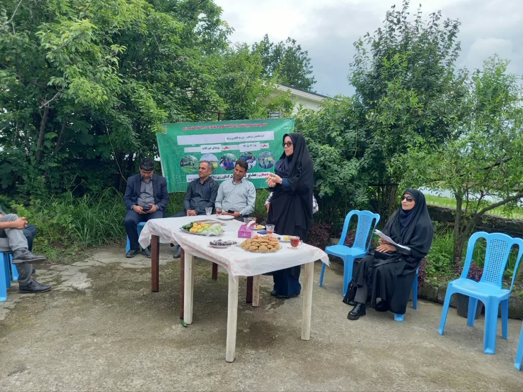 شبکه ملی مزارع الگویی کشور؛ بستری برای ترویج مشارکتی