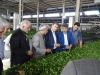  رئیس سازمان جهاد کشاورزی استان گیلان : چای با کیفیت تر با اجرای طرح های نوین و آبیاری مناسب باغات چای