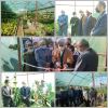 همزمان با ششمین روز از دهه مبارک فجر:افتتاح بهره برداری از یک واحد گلخانه در شهرستان املش