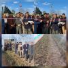 همزمان با دومین روز گرامیداشت دهه فجر؛یک واحد گلخانه کشت آلورا در شهرستان رودبار افتتاح شد