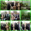 افتتاح گلخانه های کوچک مقیاس درسطح شهرستان املش