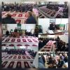 اردوی جهادی با محوریت مبارزه با آفت ملخ مراکشی و مگس زیتون در شهرستان رودبار درحال برگزاری است