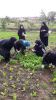 برداشت سبزیجات برگی و غده ای از پروژه باغچه خانگی در شهرستان ماسال