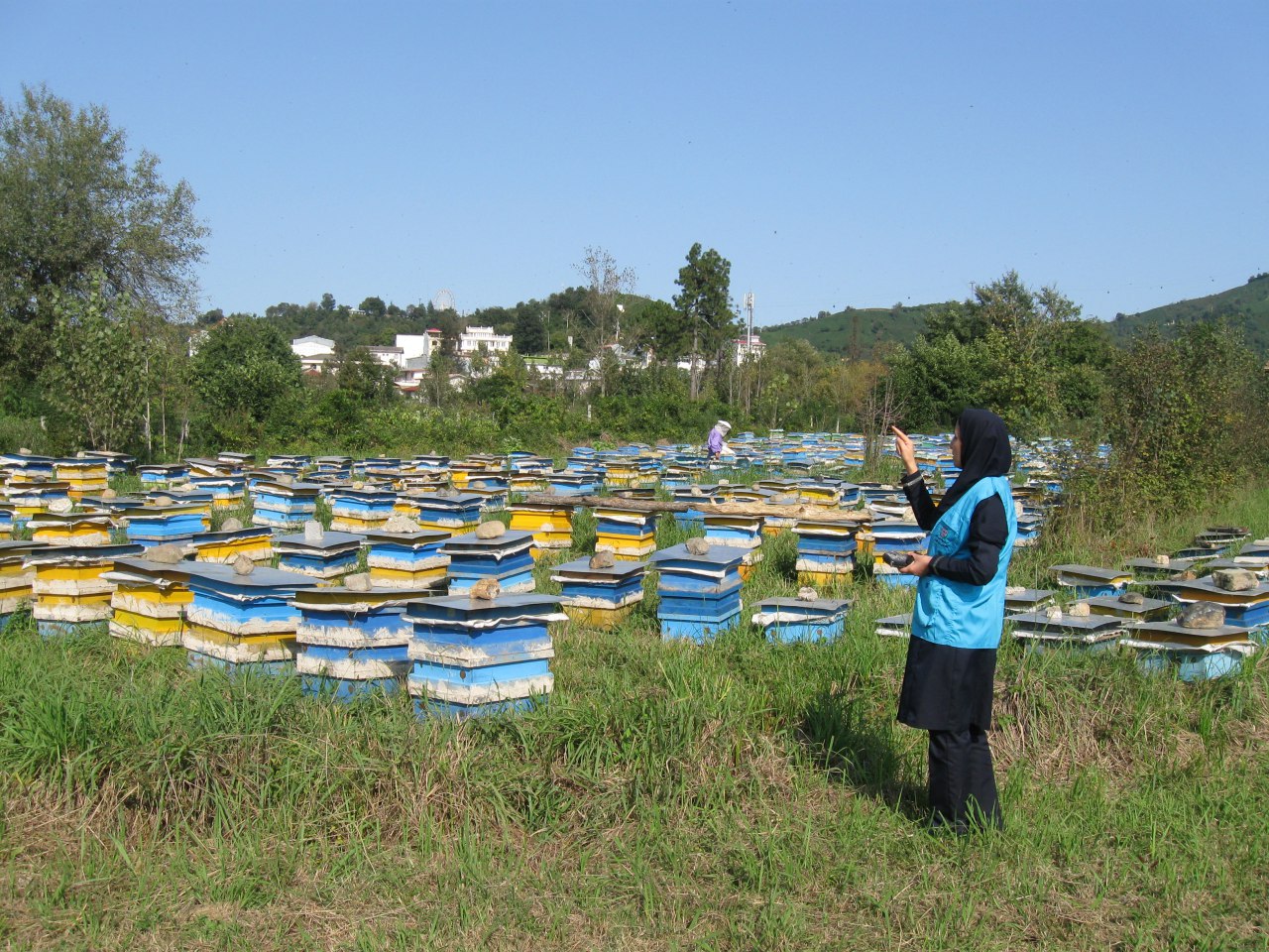 اولین همایش بزرگ زنبورداری کشور در شهرستان املش برگزار شد