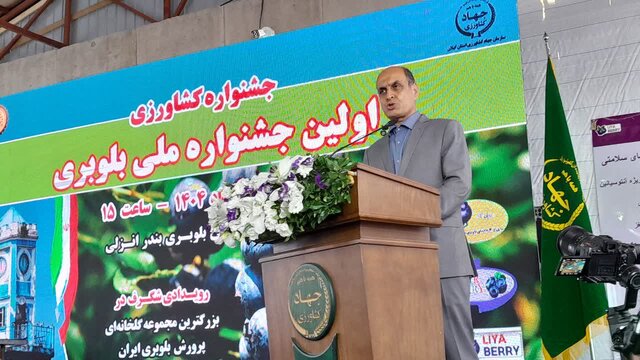 نخستین جشنواره ملی بلوبری در گیلان برگزار شد