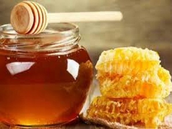 افزایش فعالیت جوانان  روستا در تولید عسل گیلان