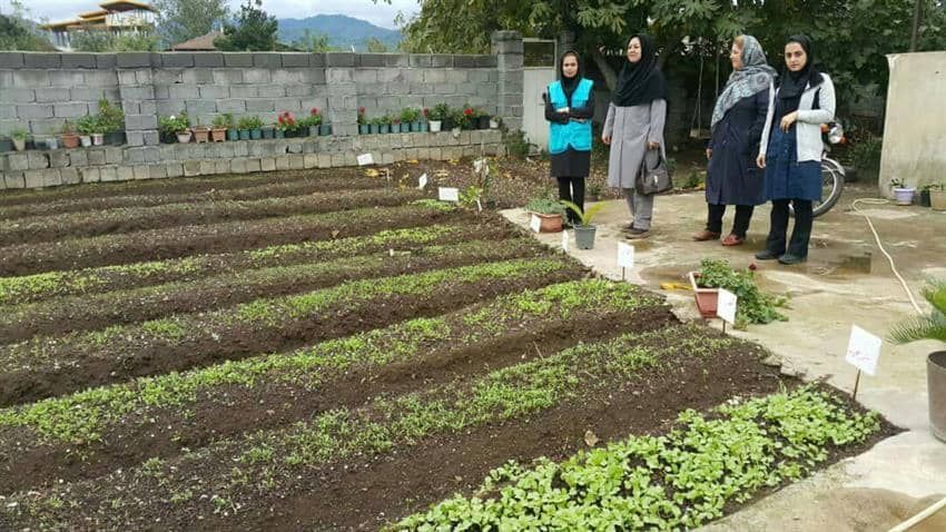 اجرای طرح بهبود تغذیه زنان روستایی و ایجاد باغچه های خانگی در گیلان 