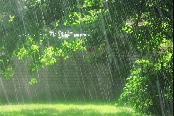 اقدام به موقع مانع از خسارات احتمالی بارش در بخش کشاورزی