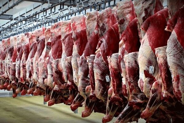 تولید بیش از 28 هزار تن گوشت قرمز در گیلان