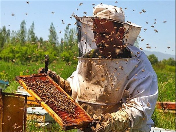 شروع مهاجرت پاییزه زنبورداران به شهرستان املش