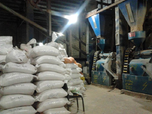 نرخ تبدیل شلتوک به برنج مشخص شد