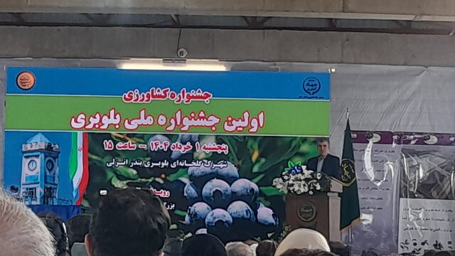 رئیس سازمان جهاد کشاورزی گیلان خبر داد: 30  هکتار از اراضی کشاورزی گیلان زیر کشت بلوبری 