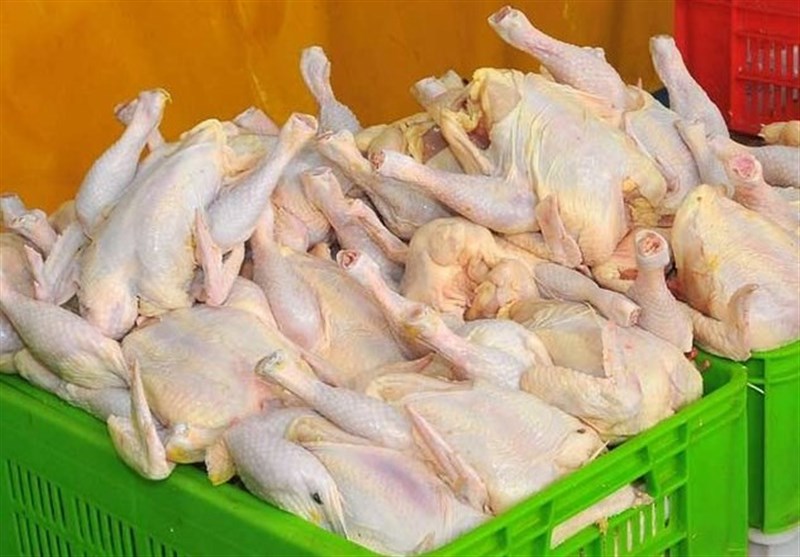  تولید بالغ بر 130 هزار تن گوشت مرغ در گیلان