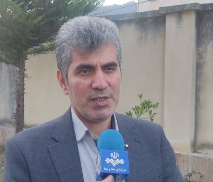 آغاز پایلوت کشت دوم ذرت دانه ای در شالیزارهای گیلان