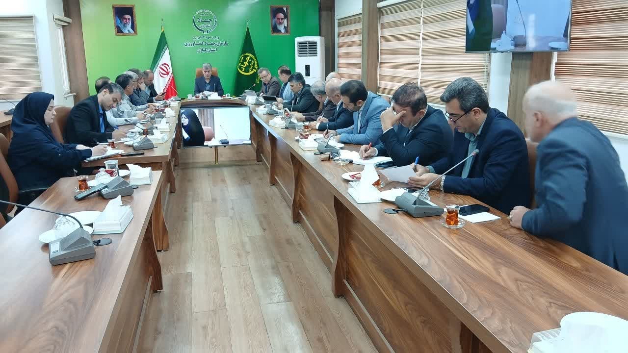 نشست هماهنگی تعیین تعرفه کشتارگاه طیور گیلان برگزار شد