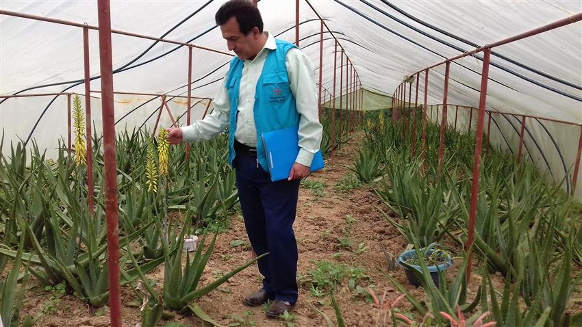 اجرای طرح گلخانه های کوچک مقیاس درشهرستان املش