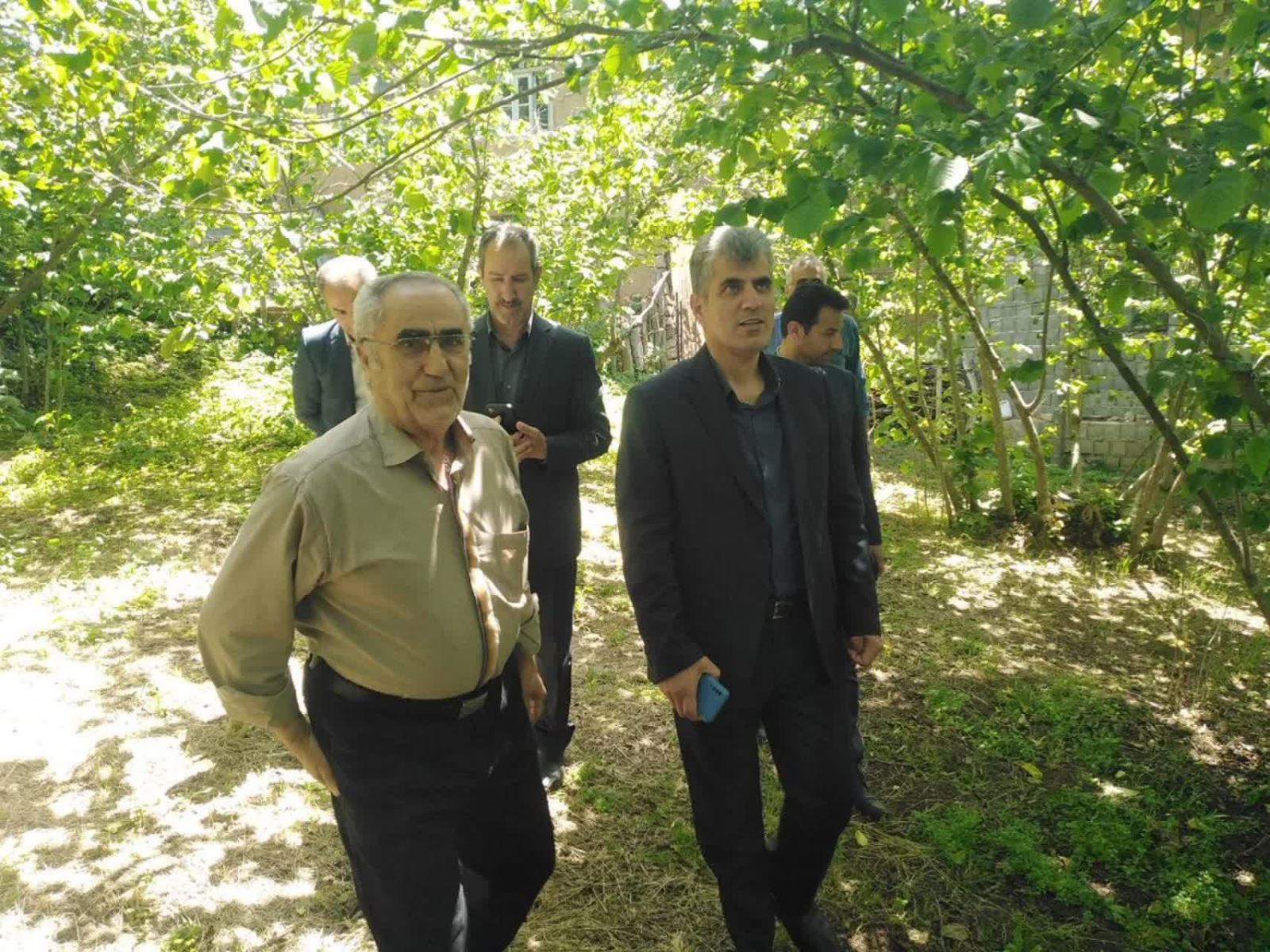 با حضور رئیس سازمان جهاد کشاورزی گیلان؛  ظرفیتهای توسعه‌ای باغات فندق رودسر بررسی شد