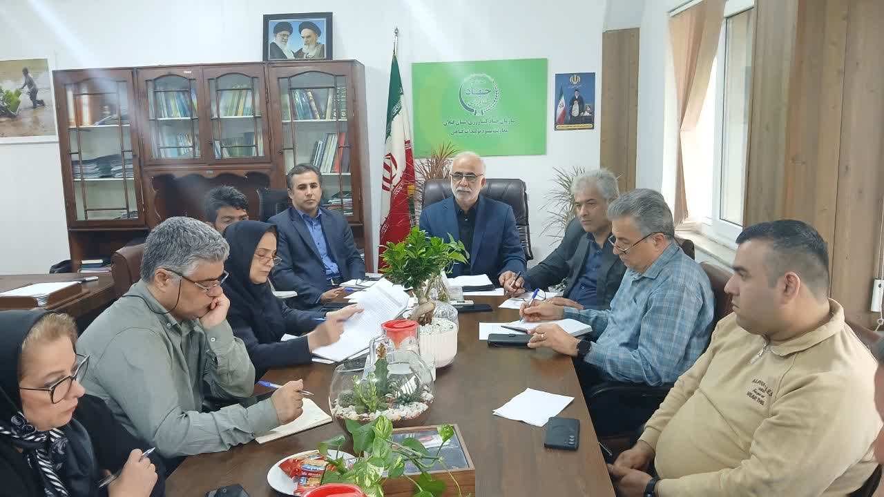 کمیته فنی بذر استان در سازمان جهاد کشاورزی گیلان برگزار شد