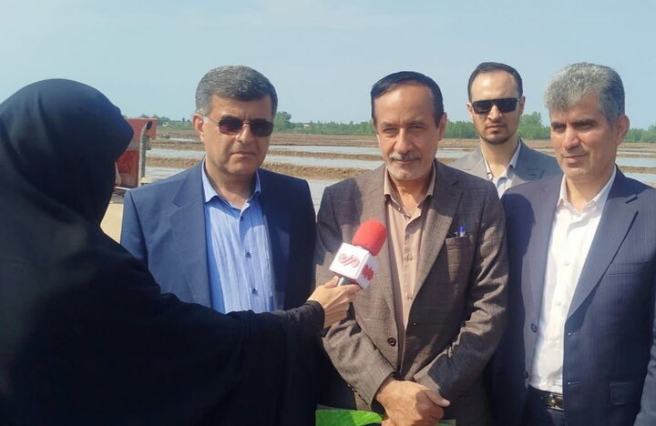 معاون وزیر جهاد کشاورزی:  کشت سنتی باید به‌ روز شود