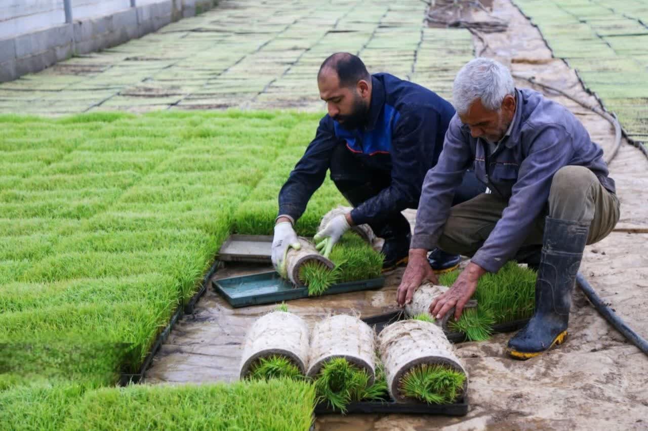 بانک نشا در گیلان