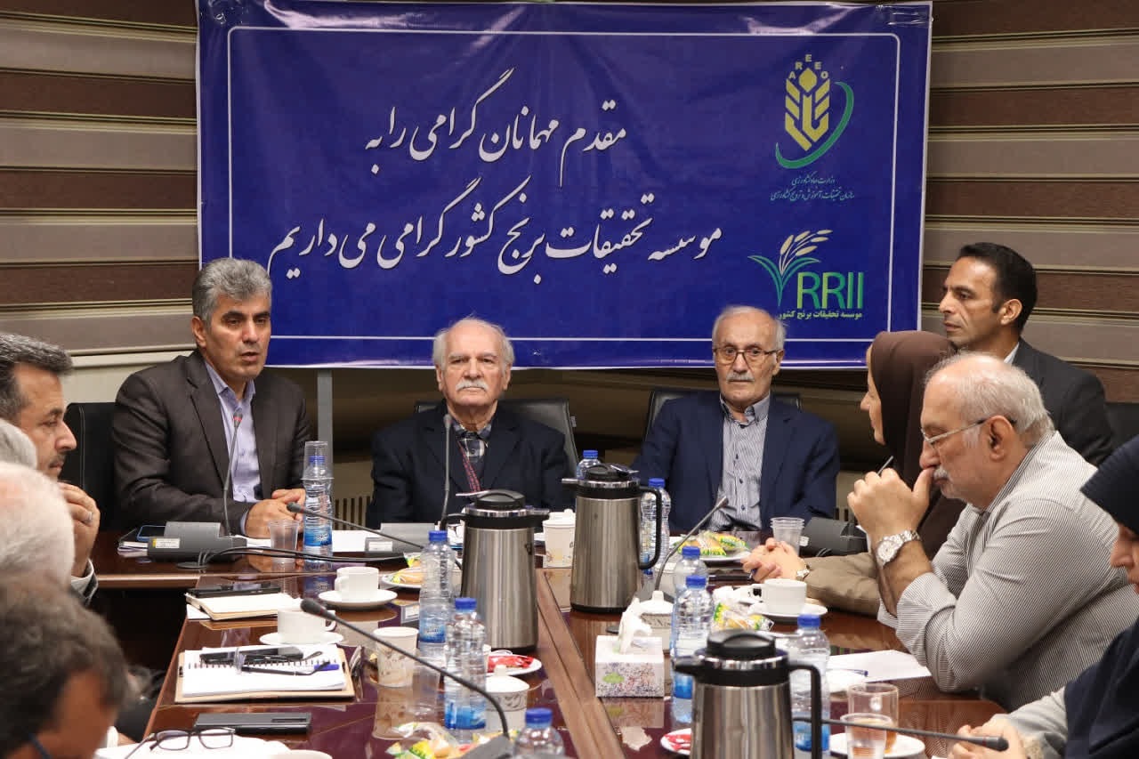 نشست انجمن برنج در راستای تمرکز بر تولید هوشمندانه برنج و امنيت غذایی