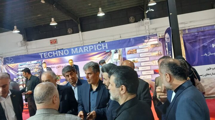 رئیس سازمان جهاد کشاورزی گیلان مطرح کرد:  زیر کشت رفتن بخش عمده شالیزارهای گیلان در سال زراعی جاری