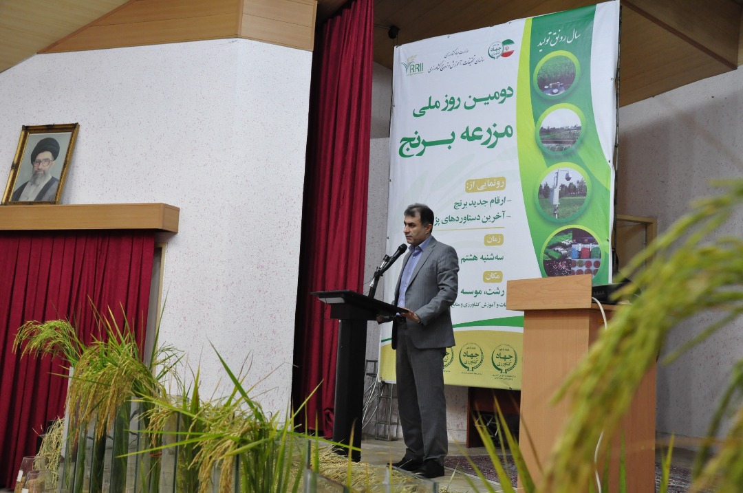 مراسم روز ملی مزرعه برنج در موسسه تحقیقات برنج کشور  برگزار گردید