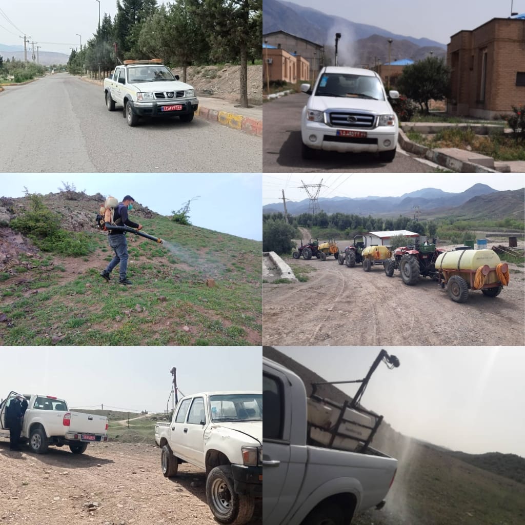 مبارزه با ملخ مراکشی در بیش از ۹ هزار هکتار از اراضی کشاورزی و مراتع شهرستان رودبار