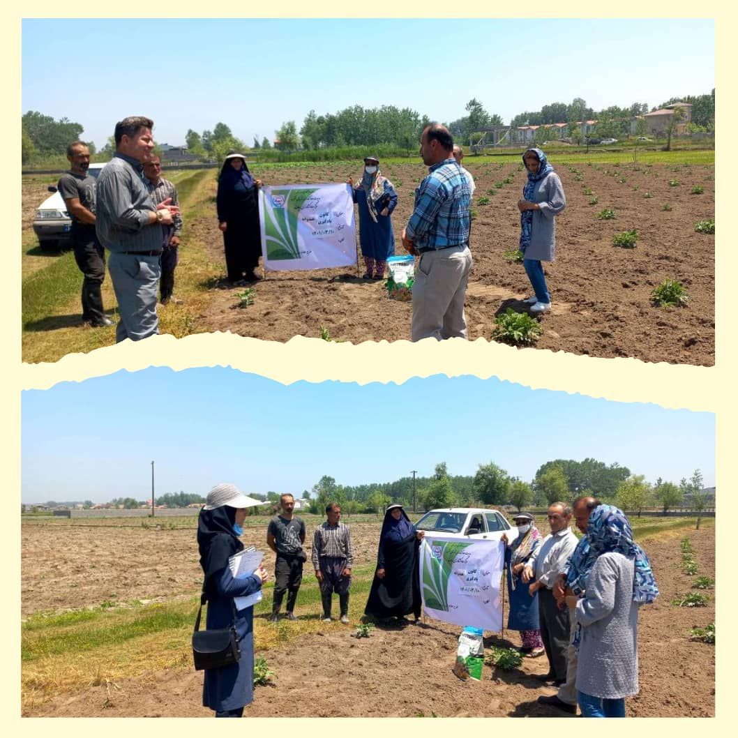 کارگاه آموزشی کانون یادگیری هندوانه در روستای تازه آبادچاف شهرستان لنگرود برگزار شد