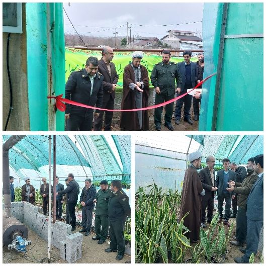 یک واحد گلخانه تولید گل و گیاهان زینتی کوچک مقیاس دربخش اطاقور شهرستان لنگرود در دهه مبارک فجر افتتاح شد
