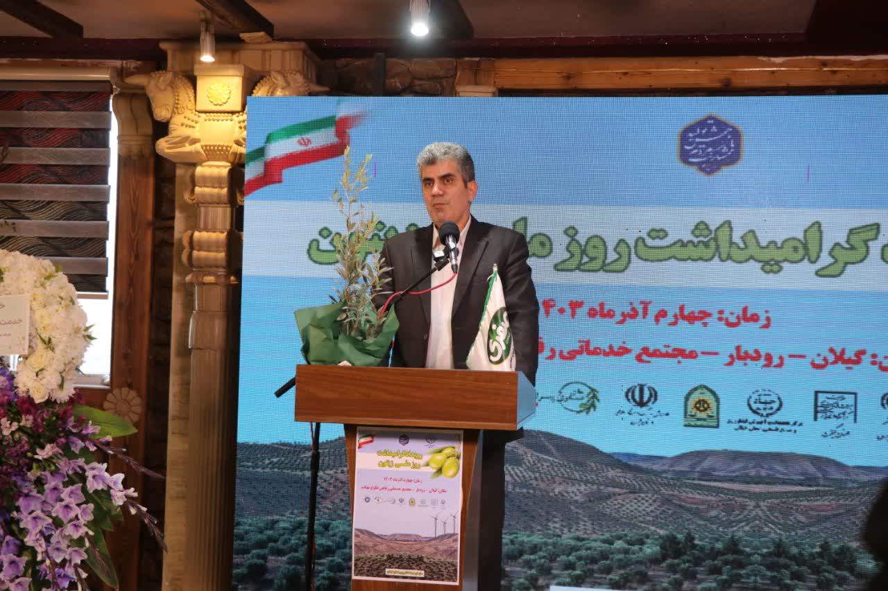 رئیس سازمان جهاد کشاورزی گیلان: مردم ایران، زیتون را با رودبار می شناسند