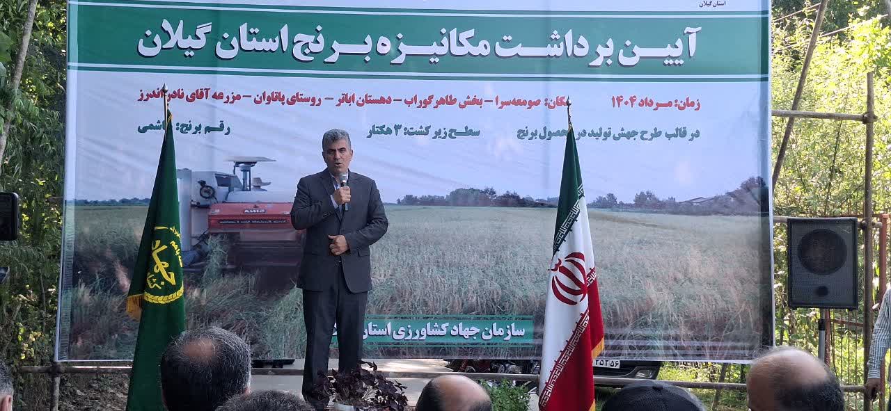 همزمان با نخستین روز مردادماه، آیین برداشت مکانیزه برنج در گیلان برگزار شد