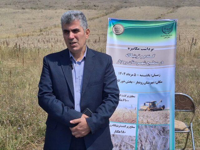 رئیس سازمان جهاد کشاورزی گیلان خبر داد: آغاز برداشت گندم و تریتیکاله در بیش از ۶۰۰۰ هکتار از اراضی رودبار